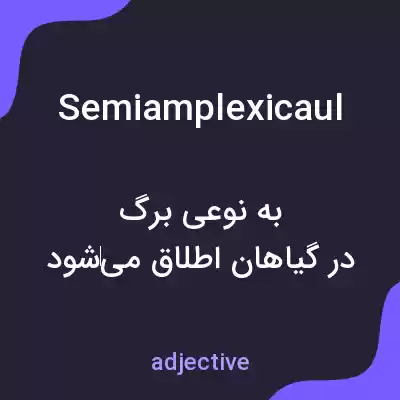 معنی semiamplexicaul به فارسی معنی semiamplexicaul به فارسی