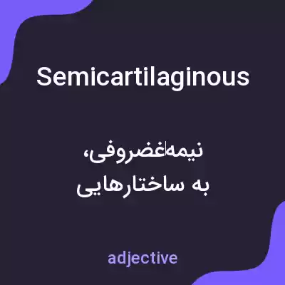 معنی semicartilaginous به فارسی معنی semicartilaginous به فارسی