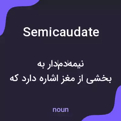 معنی semicaudate به فارسی معنی semicaudate به فارسی
