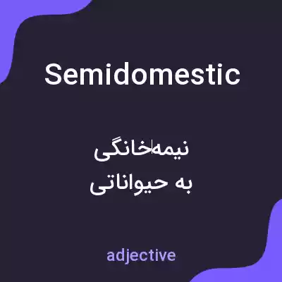 معنی semidomestic به فارسی معنی semidomestic به فارسی