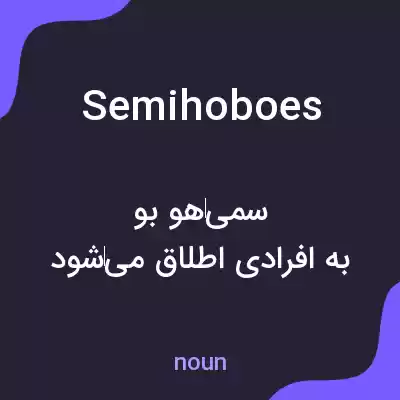 معنی semihoboes به فارسی معنی semihoboes به فارسی