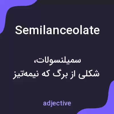 معنی semilanceolate به فارسی معنی semilanceolate به فارسی