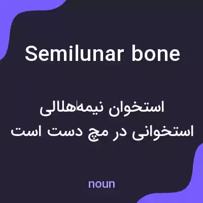 معنی semilunar bone به فارسی معنی semilunar bone به فارسی