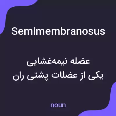 معنی semimembranosus به فارسی معنی semimembranosus به فارسی