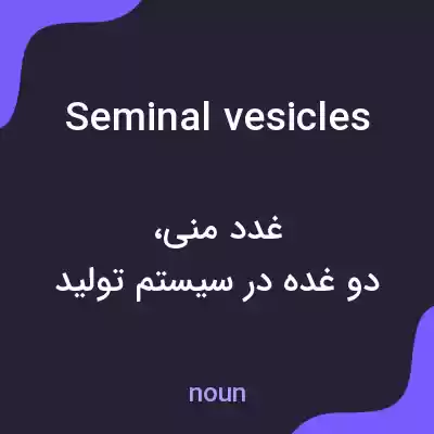 معنی seminal vesicles به فارسی معنی seminal vesicles به فارسی