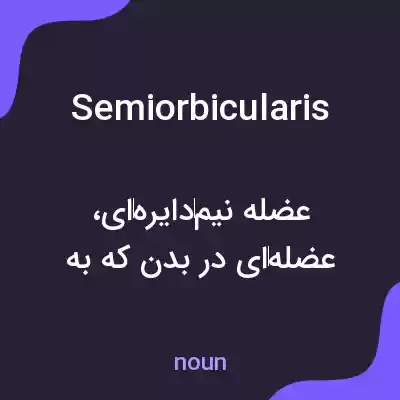 معنی semiorbicularis به فارسی معنی semiorbicularis به فارسی