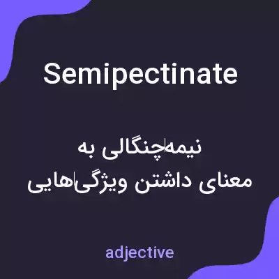 معنی semipectinate به فارسی معنی semipectinate به فارسی