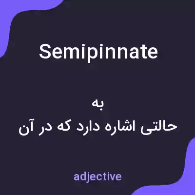معنی semipinnate به فارسی معنی semipinnate به فارسی