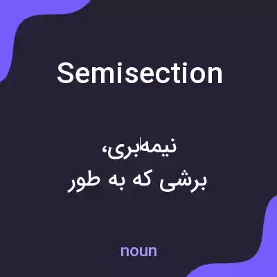 معنی semisection به فارسی معنی semisection به فارسی