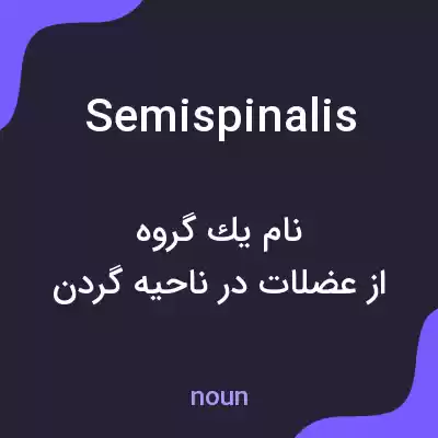 معنی semispinalis به فارسی معنی semispinalis به فارسی