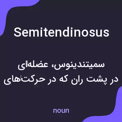 معنی semitendinosus به فارسی معنی semitendinosus به فارسی