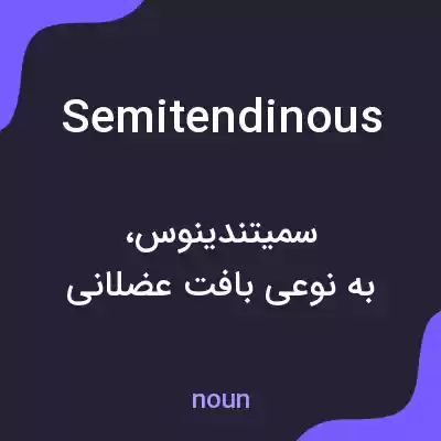 معنی semitendinous به فارسی معنی semitendinous به فارسی