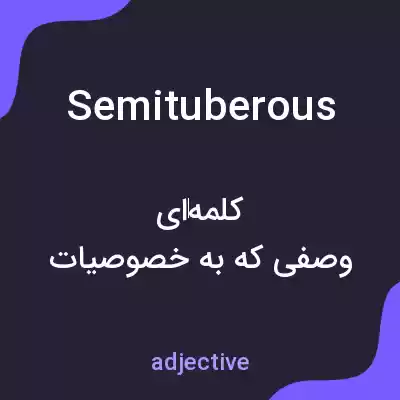 معنی semituberous به فارسی معنی semituberous به فارسی