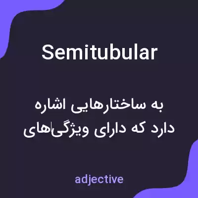 معنی semitubular به فارسی معنی semitubular به فارسی