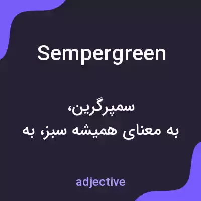 معنی sempergreen به فارسی معنی sempergreen به فارسی