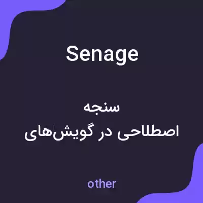 معنی senage به فارسی معنی senage به فارسی