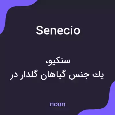 معنی senecio به فارسی معنی senecio به فارسی