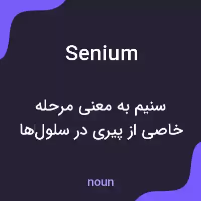 معنی senium به فارسی معنی senium به فارسی