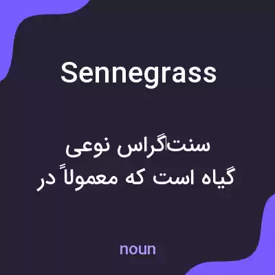 معنی sennegrass به فارسی معنی sennegrass به فارسی