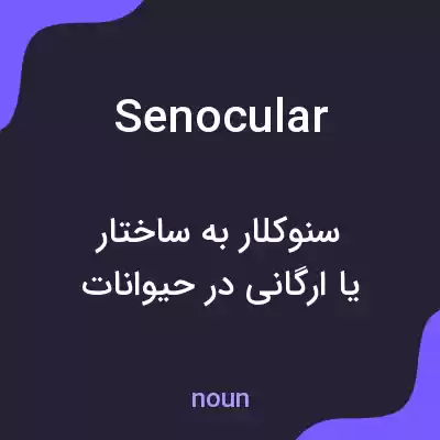 معنی senocular به فارسی معنی senocular به فارسی