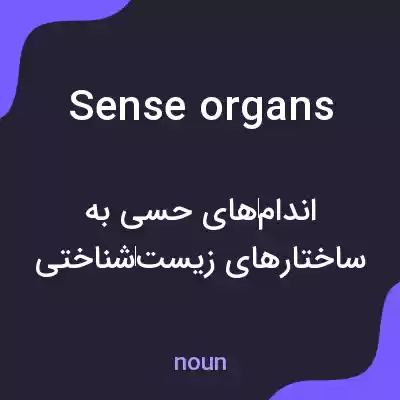 معنی sense organs به فارسی