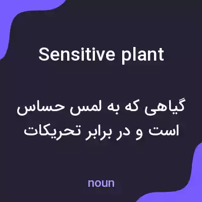 معنی sensitive plant به فارسی معنی sensitive plant به فارسی