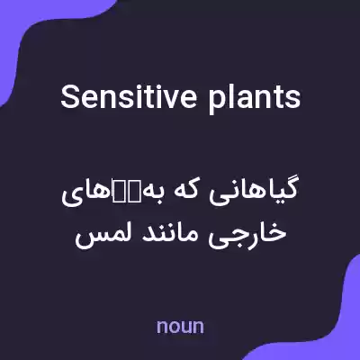 معنی sensitive plants به فارسی معنی sensitive plants به فارسی