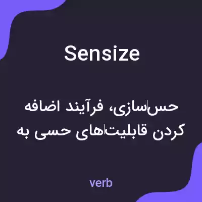 معنی sensize به فارسی معنی sensize به فارسی