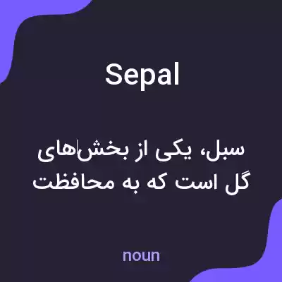معنی sepal به فارسی معنی sepal به فارسی