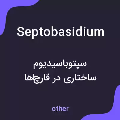 معنی septobasidium به فارسی معنی septobasidium به فارسی