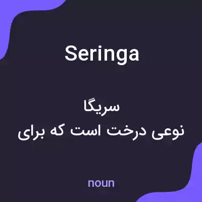 معنی seringa به فارسی معنی seringa به فارسی