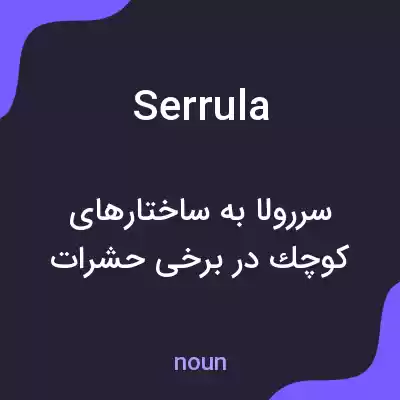 معنی serrula به فارسی معنی serrula به فارسی