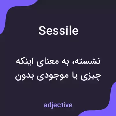 معنی sessile به فارسی