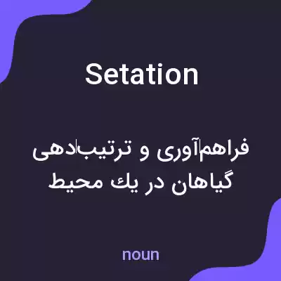 معنی setation به فارسی معنی setation به فارسی