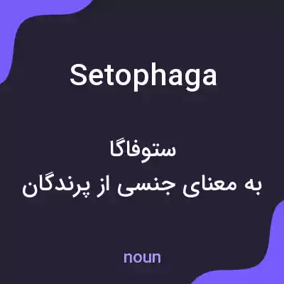 معنی setophaga به فارسی معنی setophaga به فارسی