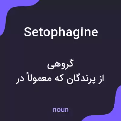 معنی setophagine به فارسی معنی setophagine به فارسی
