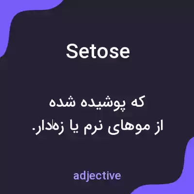 معنی setose به فارسی معنی setose به فارسی