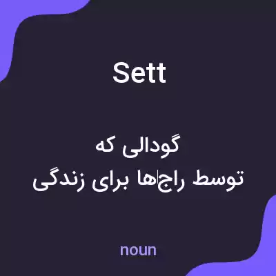 معنی sett به فارسی معنی sett به فارسی