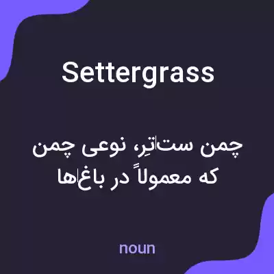 معنی settergrass به فارسی معنی settergrass به فارسی