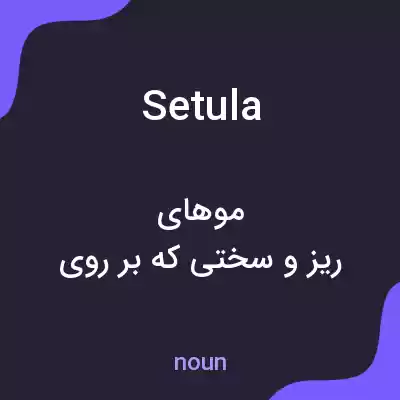 معنی setula به فارسی