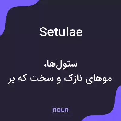 معنی setulae به فارسی معنی setulae به فارسی