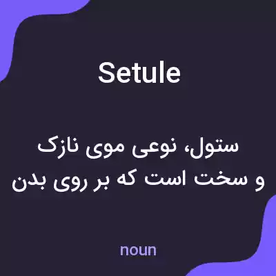 معنی setule به فارسی معنی setule به فارسی