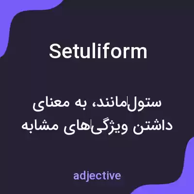 معنی setuliform به فارسی معنی setuliform به فارسی