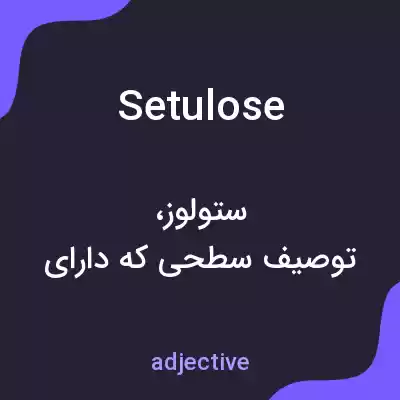 معنی setulose به فارسی معنی setulose به فارسی