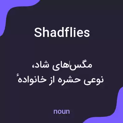 معنی shadflies به فارسی معنی shadflies به فارسی