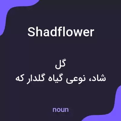 معنی shadflower به فارسی معنی shadflower به فارسی