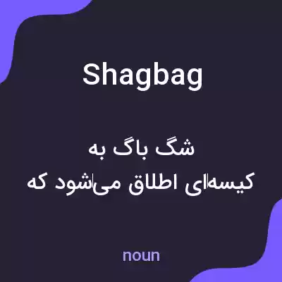 معنی shagbag به فارسی معنی shagbag به فارسی