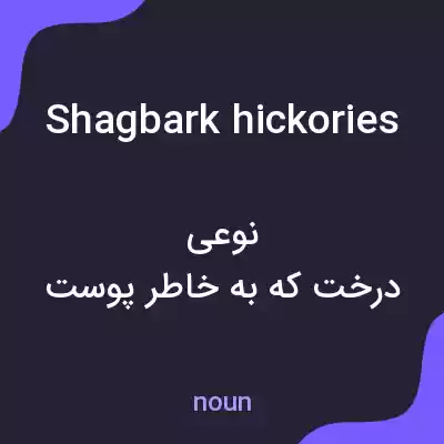 معنی shagbark hickories به فارسی معنی shagbark hickories به فارسی