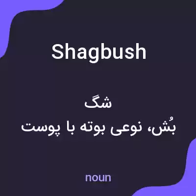 معنی shagbush به فارسی معنی shagbush به فارسی