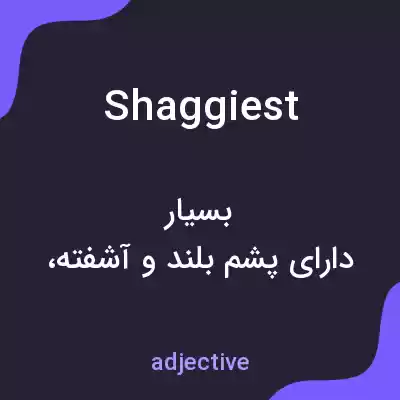 معنی shaggiest به فارسی معنی shaggiest به فارسی